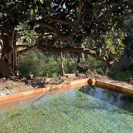 Villa Magdala-Chambre D'Hotes 5 Bed & Breakfast Hyeres