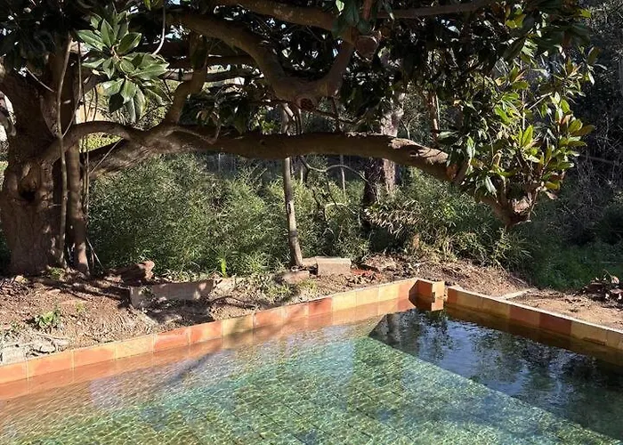 Villa Magdala-Chambre D'Hotes 5 Oda ve Kahvaltı Hyères