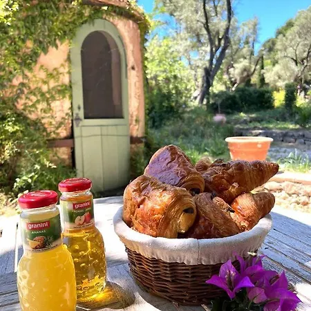 Bed & Breakfast Villa Magdala-Chambre D'Hotes 5 Hyères